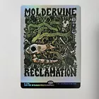 Moldervine Reclamation