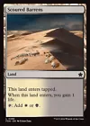 Scoured Barrens #