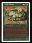 Thicket Basilisk