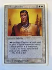 Northern Paladin