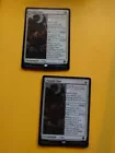 Paladin Class