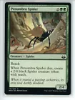 Sentinel Spider