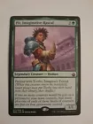 Pir, Imaginative Rascal