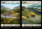 Plains