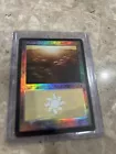 Plains [Foil] #