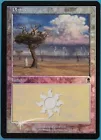 Plains [Foil] #
