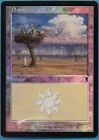 Plains [Foil] #