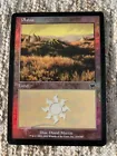 Plains