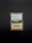 Plains