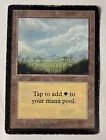 Plains