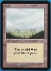 Plains