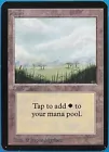 Plains