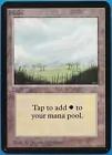 Plains