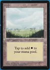 Plains #