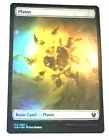 Plains