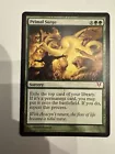 Primal Surge