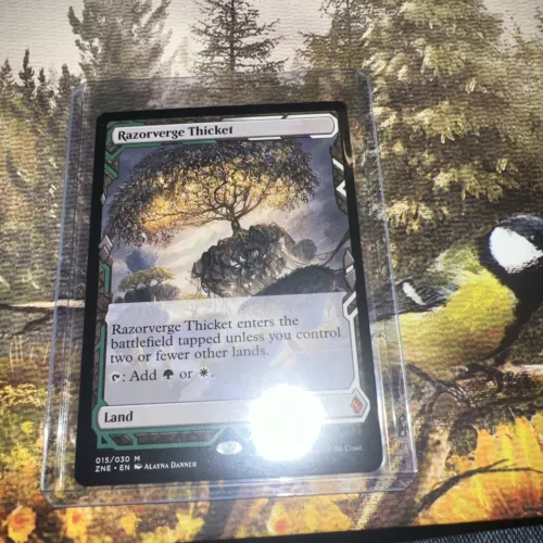 Fertile Thicket
