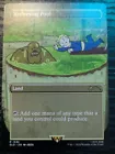 Fetid Pools [Foil] #