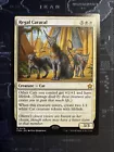 Regal Caracal #