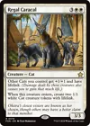Regal Caracal #