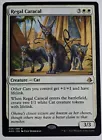 Regal Caracal