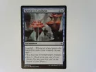 Retreat to Coralhelm