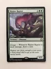 Raptor Companion