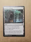Rogue's Passage