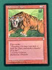 Sabretooth Tiger