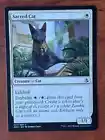 Sacred Cat
