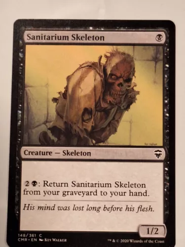 Sanitarium Skeleton