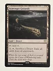 Scavenger Grounds