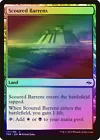 Scoured Barrens