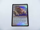 Sabretooth Tiger