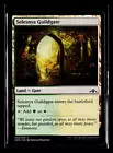 Selesnya Guildgate