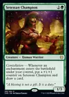 Champion of Arashin