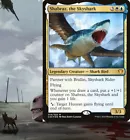 Shabraz, the Skyshark