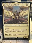 Shalai, Voice of Plenty
