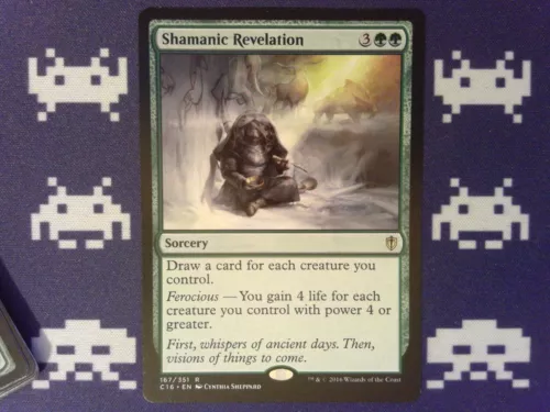 Shamanic Revelation