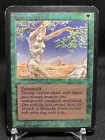 Shanodin Dryads