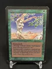 Shanodin Dryads