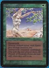 Shanodin Dryads