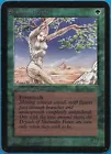 Shanodin Dryads