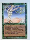 Shanodin Dryads