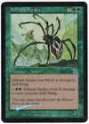 Silklash Spider