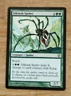Silklash Spider