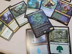 Fyndhorn Elves