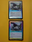 Skyshroud Falcon