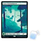 Snow-Covered Forest