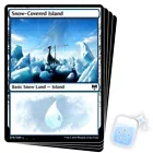 Snow-Covered Island